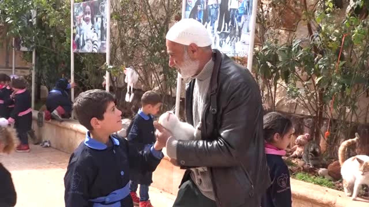 Suriye'de Sahipsiz Kedilerin Babası Oldu (3)