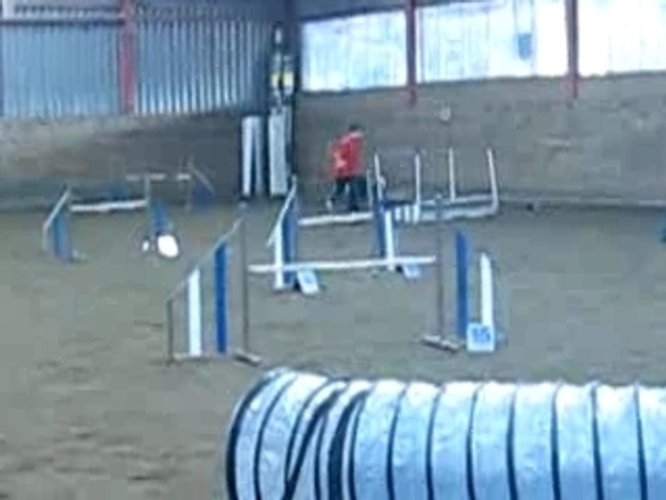 MVI_1389