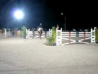 Phillipe et Louxor 1m50