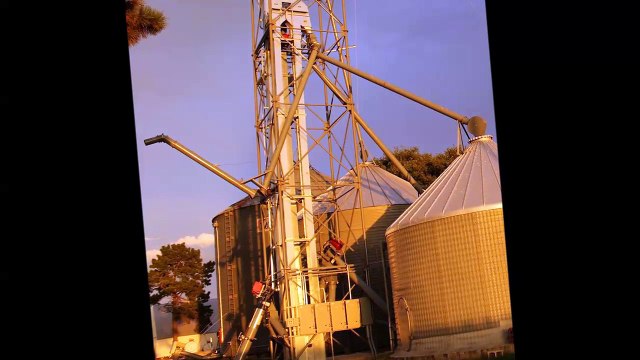 Crane & Grain Service - (402) 745-0060
