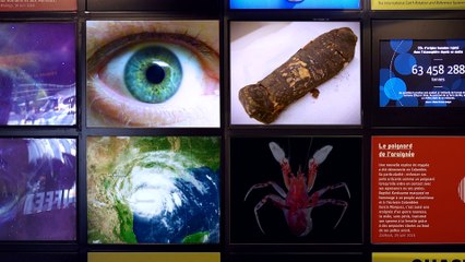 Une cornée imprimée en 3D