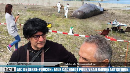 Lac de Serre-Ponçon : faux cachalot pour vraie oeuvre artistique