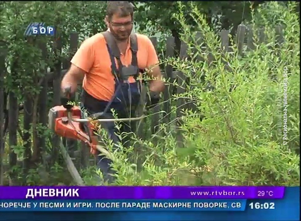 Dnevnik, 8.jun 2018. (RTV Bor)