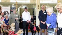 The Queen was all smiles as she & duchess Camilla attend an event of medical detection dogs