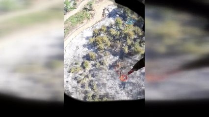 Hatay’daki yangında 15 hektarlık orman örtüsü zarar gördü