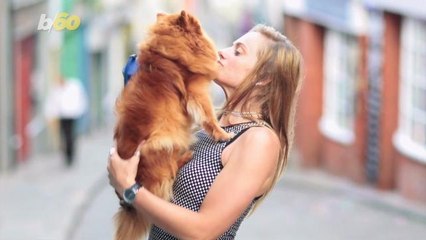 Pet Food Company Adding 'Pawternity Leave' for New Pet Parents