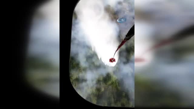 Hatay'daki Yangında 15 Hektarlık Orman Örtüsü Zarar Gördü