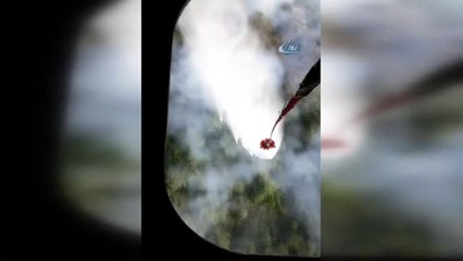 Hatay'daki Yangında 15 Hektarlık Orman Örtüsü Zarar Gördü