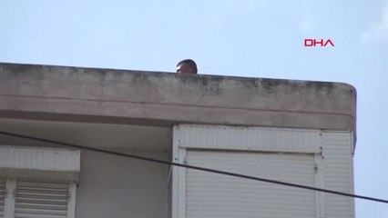 Kocaeli Borçları Nedeniyle Bunalıma Girince Çatıya Çıktı