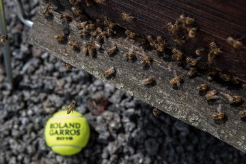 Roland-Garros, un événement éco-responsable