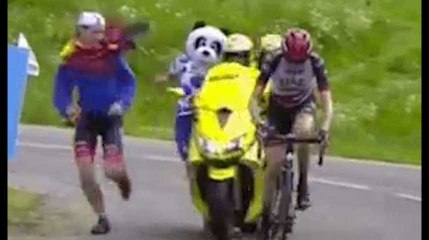 Ce panda n'aurait pas dû poursuivre un coureur au Critérium du Dauphiné