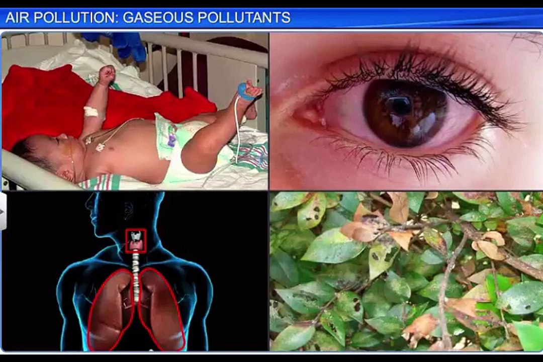 (1)CBSE Class 11 Chemistry, Environmental Chemistry – 1, Air Pollution  Gaseous Pollutant