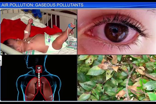 (1)CBSE Class 11 Chemistry, Environmental Chemistry – 1, Air Pollution Gaseous Pollutant