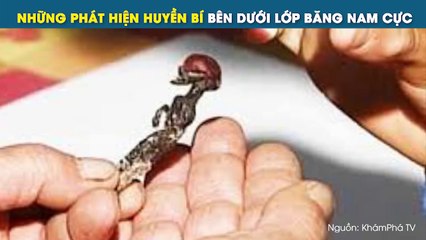 NHỮNG PHÁT HIỆN HUYỀN BÍ BÊN DƯỚI LỚP BĂNG NAM CỰC