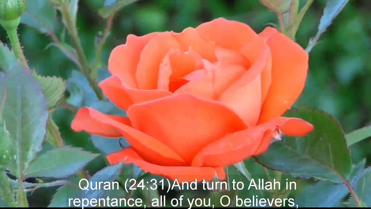 Do's And Don'ts Of Duas From The Prophet  Ep 20 POP Ramadan 2018