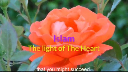 Beautiful Poetic Qiyam Dua Of Ali Ibn Abi Talib Ra Ep 22 POP Ramadan 2018