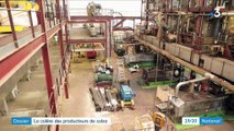 Biocarburant : la colère des producteurs de colza