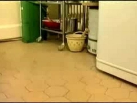 Phtalates dans les jouets pour adultes