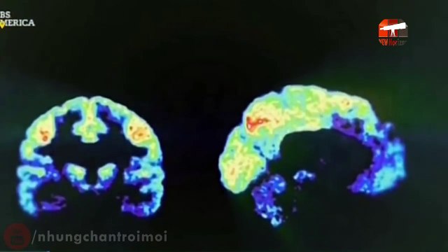 Ứng dụng khoa học trong phòng chống tội phạm