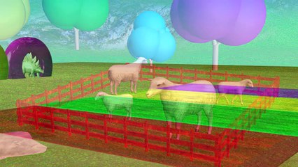 Aprender colores Aprender animales Nombre y sonido Animales jugar con pelotas de fútbol para niños