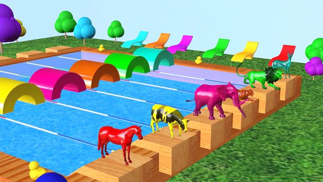 Aprender colores Aprender animales Nombre y sonido w Animales Natación Competencia