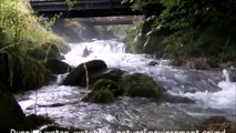 Running water, waterfall, natural environment sound and noise, relaxation, sleeping, calming, zen, yoga - 30 minutes