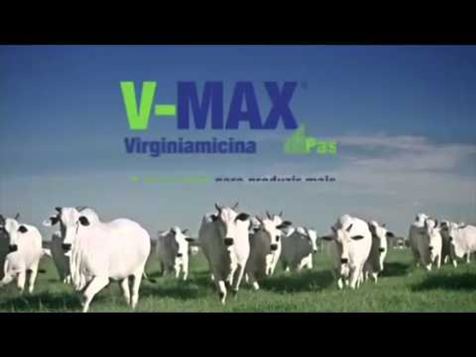 allTV - Agropapo (26/01/2016)