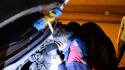 Kedi kurtarma operasyonu - AĞRI