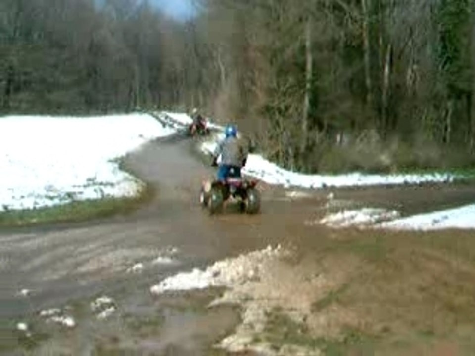 quads