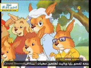 الحلقة 13 (حكايات الأرانب)