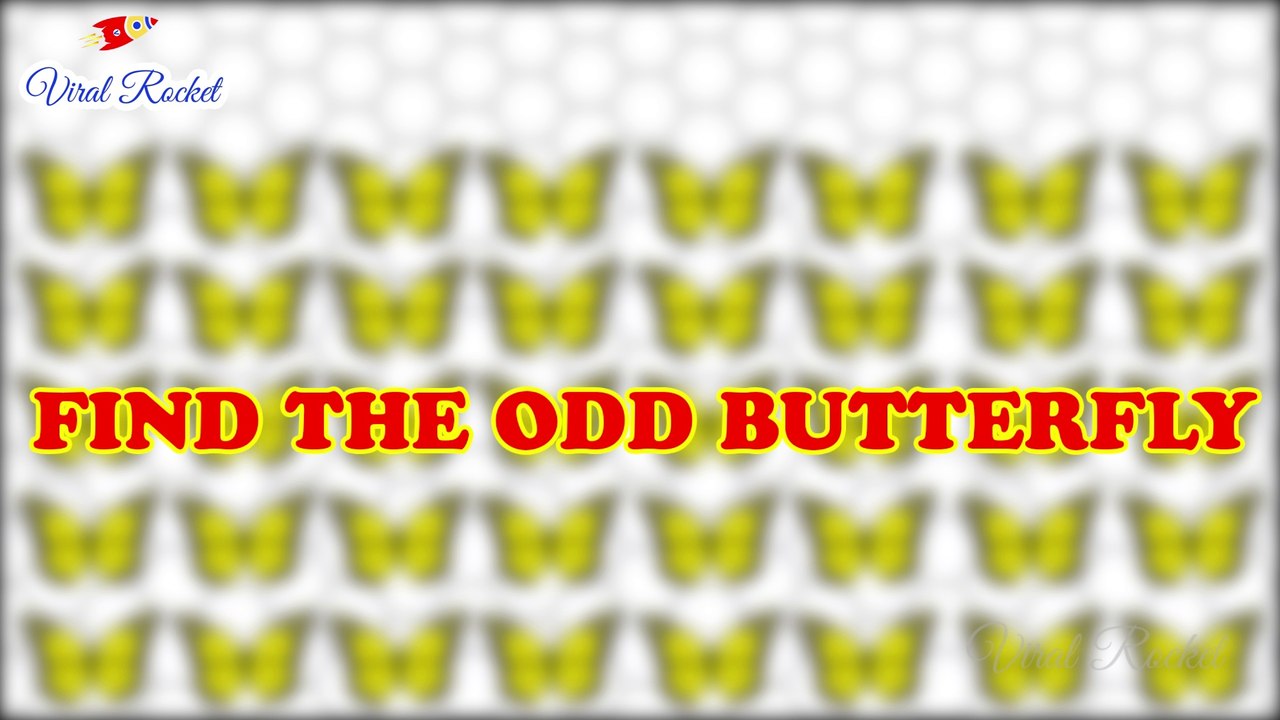 Puzzles for Genius Minds : Find the Odd One Out || Puzzle Time # 1 || Tricky Puzzles, Puzzle Games || Viral Rocket