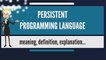 What is PERSISTENT PROGRAMMING LANGUAGE? What does PERSISTENT PROGRAMMING LANGUAGE mean?