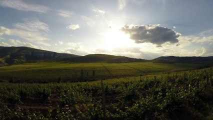 Sopot Winery, Macedonia - Timelapse