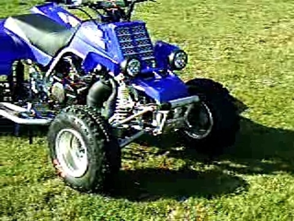 quads 350 banshee origine