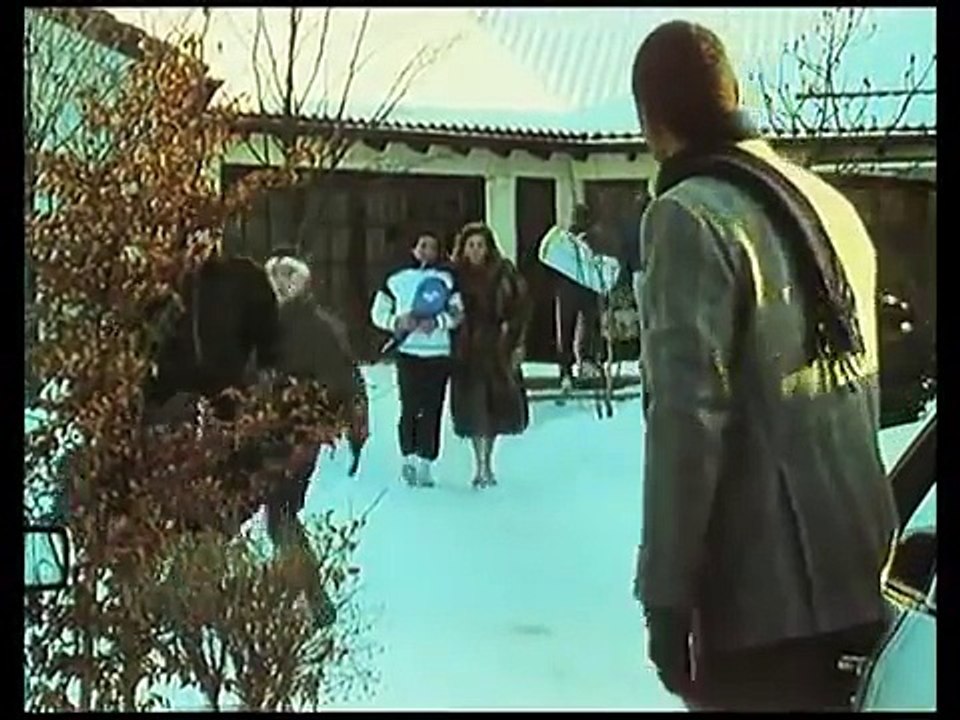 Der Alte  E095 - Der Leibwächter