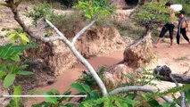 The First Primitive DIY Creative Snake Trap Using Basket & Deep Bottle That Work 100% By Smart Boy