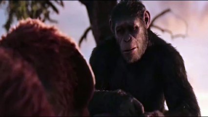 Cover|War for The Planet Of The Apes|Exodus Wounds