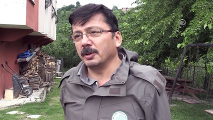 Kaçak avcıların izini sosyal medyada sürüyorlar - ORDU