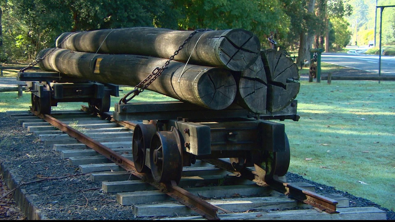 Habitat loss: Australia's endangered wildlife in peril