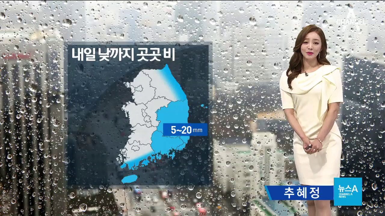 [날씨]내일 낮까지 곳곳 비…낮기온 서울 24도
