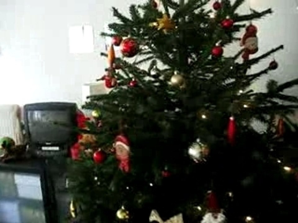 25novembre + sapin