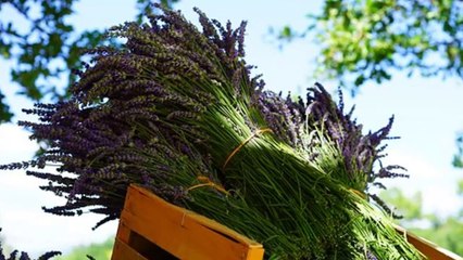 Remedios caseros para la fátiga