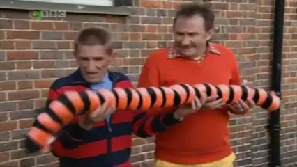 ChuckleVision - S18, E11: Caterpillar Crisis
