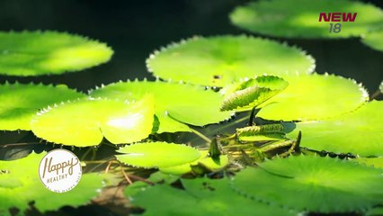 Happy Healthy - EP. 80-1 - 9 มิ.ย. 61 - NEW18 - ช่อง 18