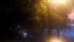 Sunet ambiental de ploaie pe stradă (stradă ploioasă, efect de zgomot de ploaie) - 30 de minute
