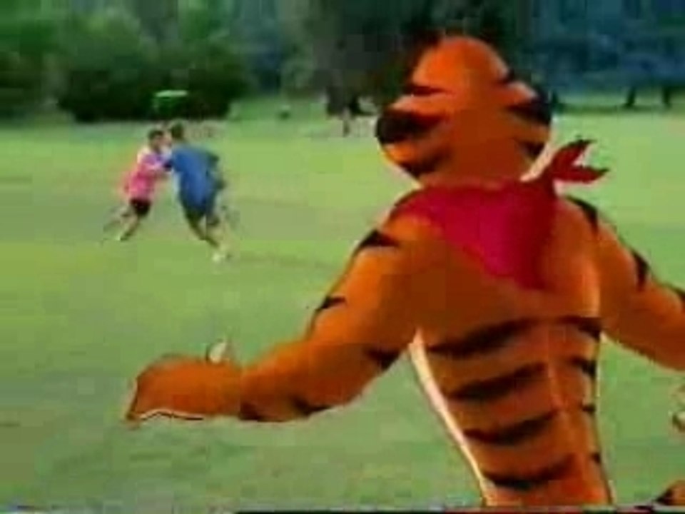 Kellogg's Frosted Flakes-frisbee
