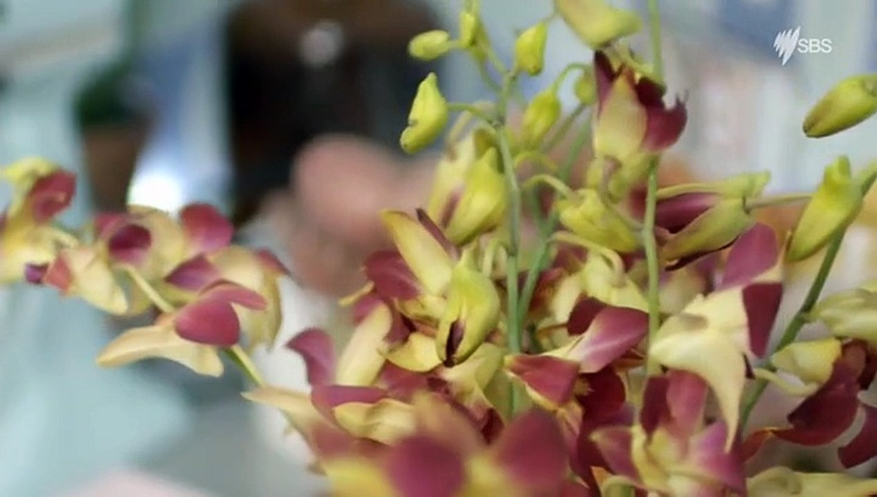 Rachel Khoo?s Kitchen Notebook - Melbourne  E06