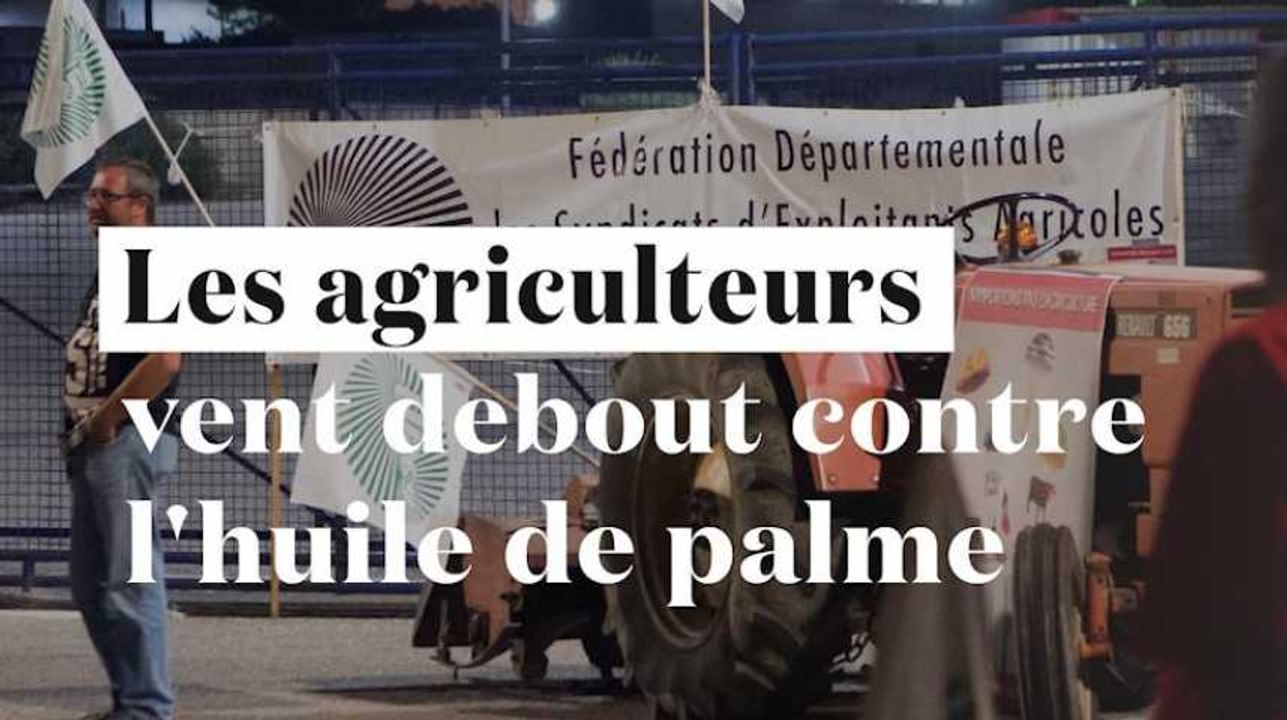 Huile de palme : dépôts de carburants et raffin...
