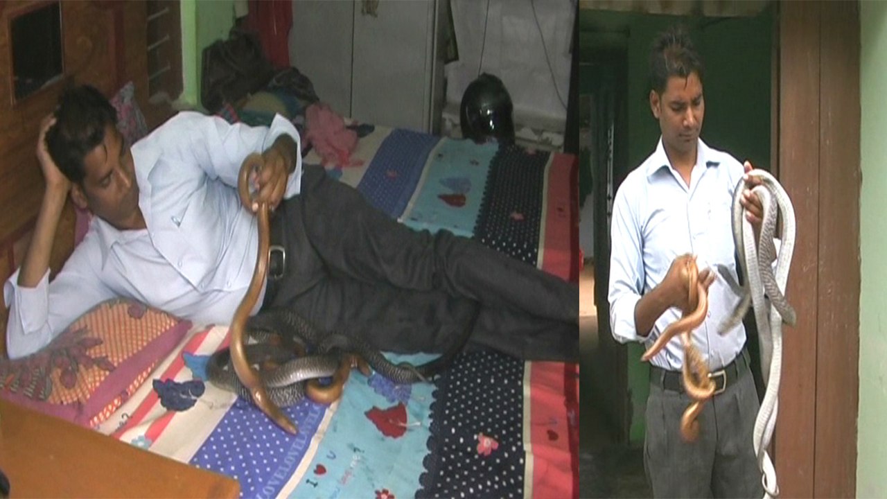 मिलिए उस शिक्षक से जिसने सांपों को बनाया दोस्त, सुनाता है फिल्मी गाने