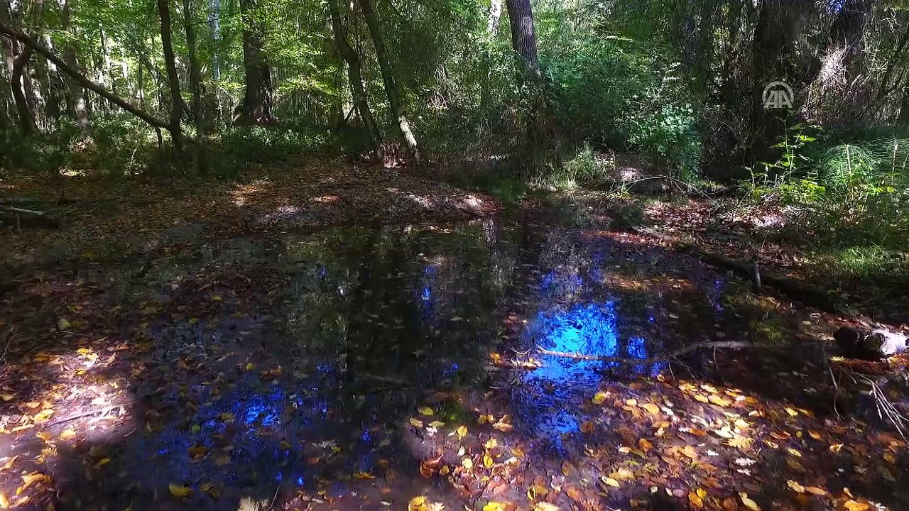 'Saklı cennet' bayram tatiline hazır - KIRKLARELİ